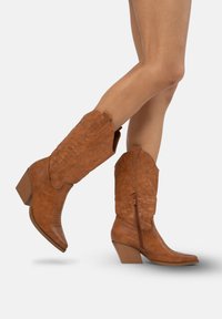 Brązowe skórzane kowbojki z teksturowanym wykończeniem, spiczastym noskiem i zwężonym obcasem. Zawierają zamek błyskawiczny oraz dekoracyjne przeszycia wzdłuż cholewy.