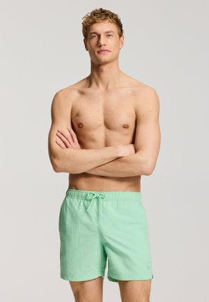 Shirtloze man met krullend blond haar staat met gekruiste armen en draagt lichtgroene zwemshorts tegen een effen achtergrond.