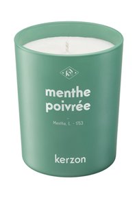 Grüne zylindrische Kerze mit glatter, matter Oberfläche. Weißes Wachs im Inneren, ausgestattet mit einem einzelnen Docht. Das Etikett zeigt "menthe poivrée" und "kerzon."