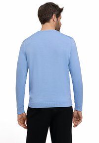 Maglione azzurro chiaro a maniche lunghe con collo a girocollo, polsini e orlo a costine. Realizzato in morbido tessuto a maglia, presenta un design semplice e senza cuciture.