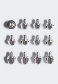 Vis vis en métal avec une finition argentée brillante, présentant des têtes cylindriques et des tiges filetées, disposées en rangées. Douze pièces au total visibles.