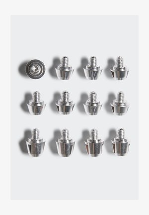 Metal screws with a shiny silver finish, featuring cylindrical heads and threaded shafts, arranged in rows. Twelve total pieces visible.
