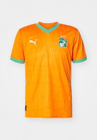 Oranje voetbalshirt met een textuurpatroon, groene accenten op de kraag en mouwen, en een logo met een olifant en sterren.