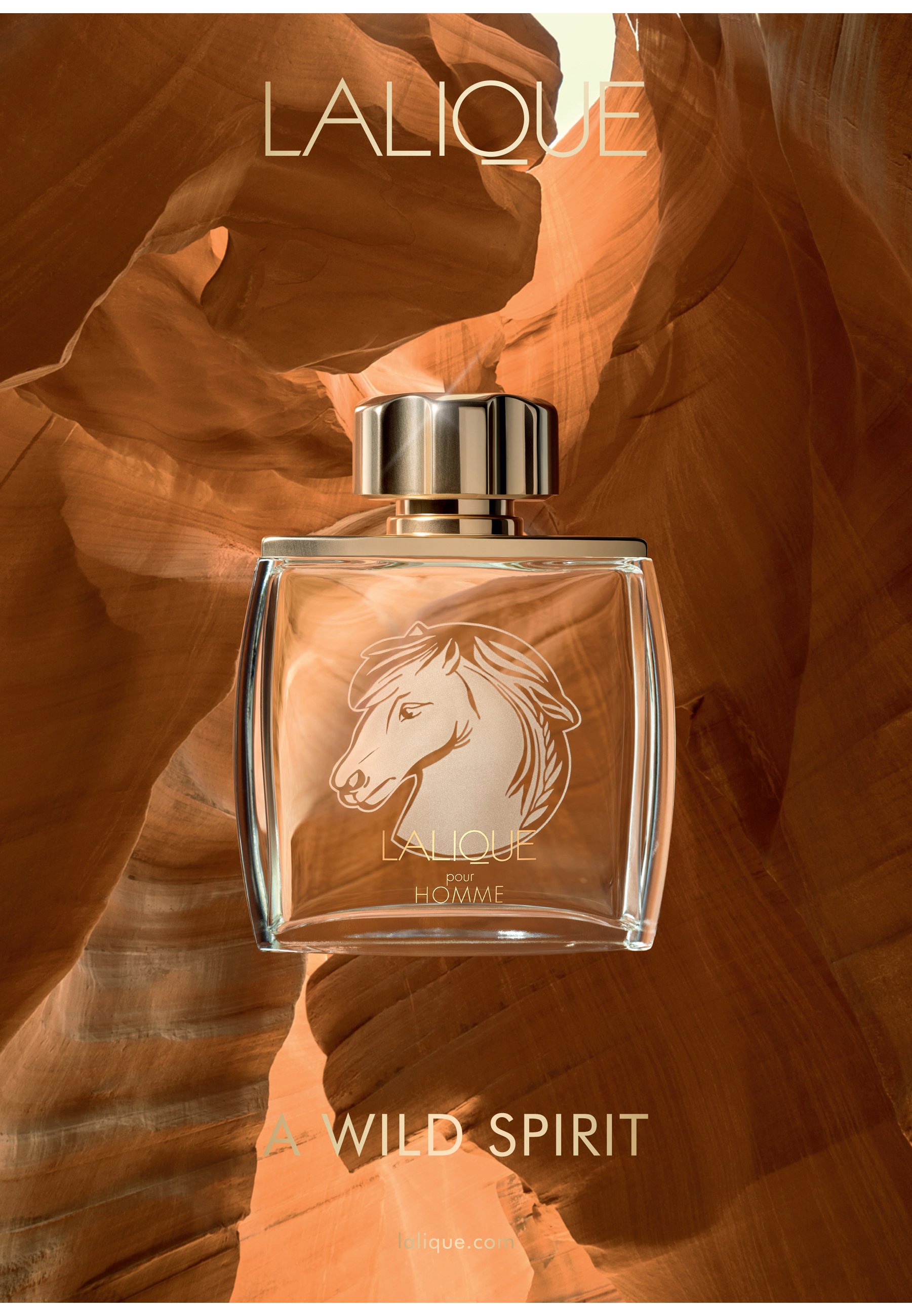 Lalique LALIQUE POUR HOMME EQUUS EDP - Eau de parfum - Zalando.nl
