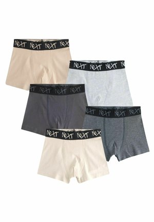 Next 5 PACK  - Panties - neutral multi colour