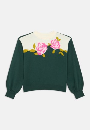 Sötétzöld kötött pulóver kör alakú krémszínű gallérral. Elöl rózsaszín rózsákkal és zöld levelekkel díszített, puffos ujjakkal és bordázott mandzsettákkal.
