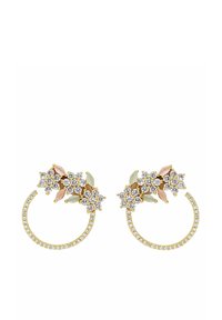 Ej vald, constellation