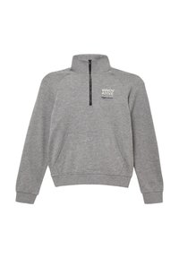 Grijze sweatshirt met een hoge kraag en een rits die tot de helft open kan. Heeft raglanmouwen, een voorzak en bedrukte tekst op de borst.
