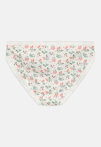 Cvjetni bikini gaćice u krem boji s crvenim i zelenim uzorcima cvijeća. Mekani materijal, elastična gumica, bez šavova. Blago zakrivljen oblik.