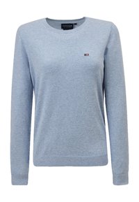 Maglione azzurro chiaro con scollo rotondo, maniche lunghe e un piccolo logo rettangolare sul petto sinistro.