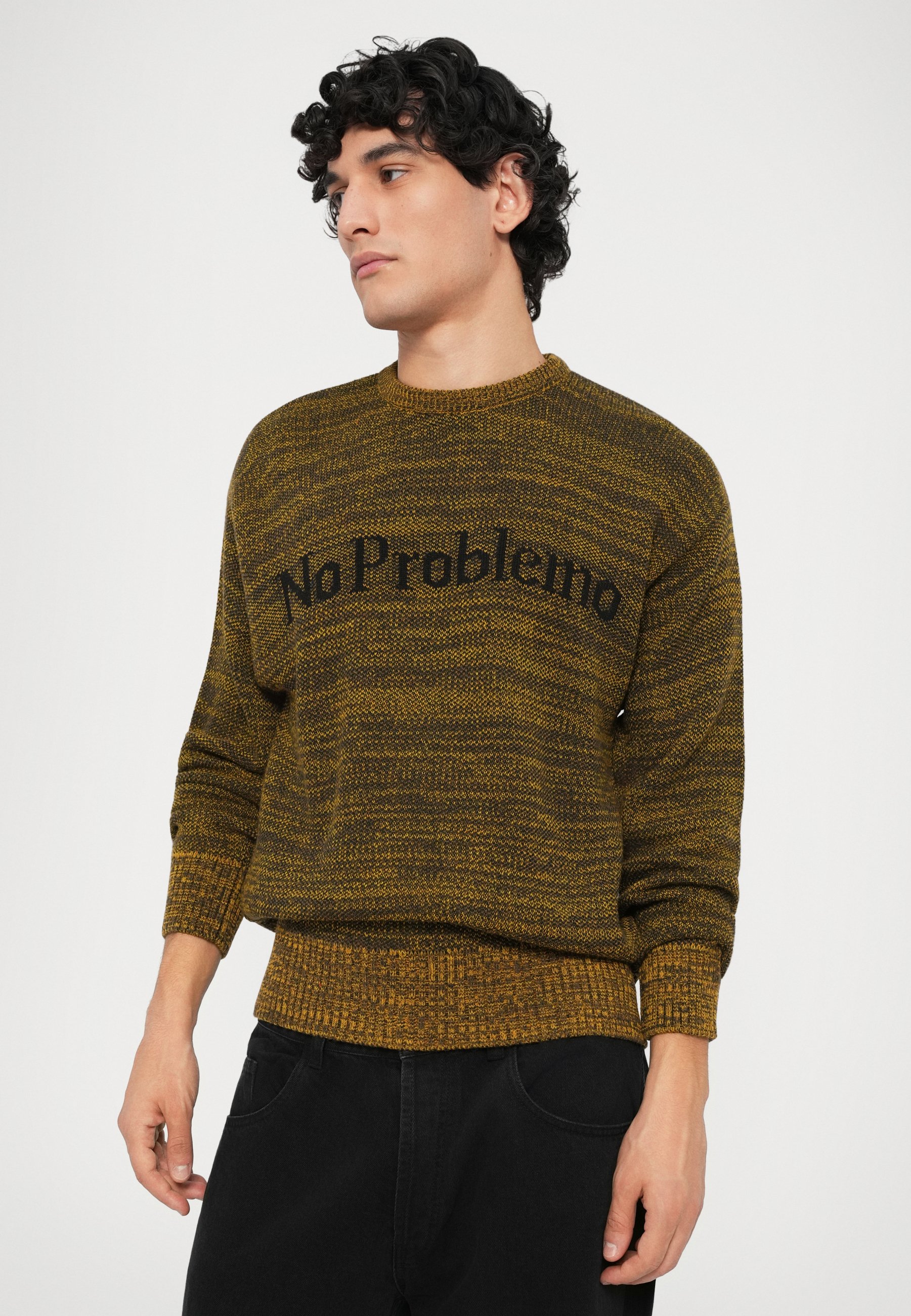 No Problemo MOSCA CREW NECK JUMPER - Jumper - brown - Zalando.ie