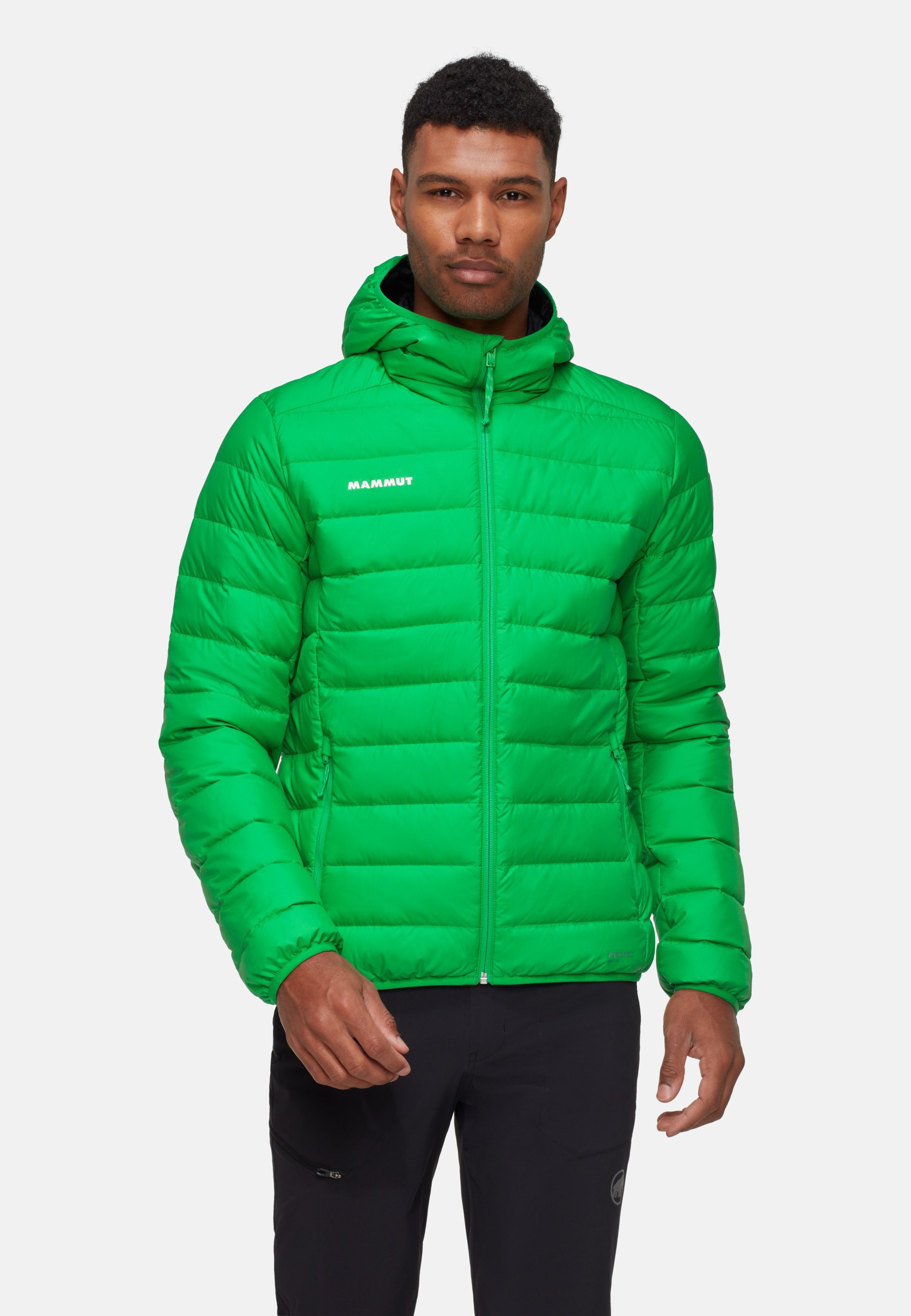 Mammut WAYMARKER IN Winterjacke pinea-black/grün