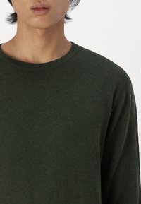 Maglione a collo rotondo di colore verde scuro. Il tessuto sembra morbido e a maglia, con una texture uniforme senza motivi o decorazioni visibili.