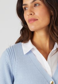 Gilet en tricot bleu clair avec un col en V, tissu texturé sur les épaules et un détail de bouton doré. Chemise blanche avec col en dessous.