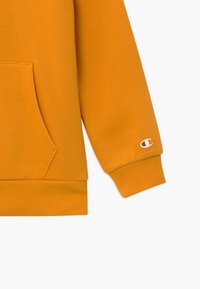 Orange hoodie med kenguruficka, ribbade ärmmuddar och nederkant. Har en liten logotyp på ärmen. Mjuk tygtextur och avslappnad design.