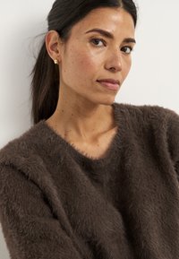 Bruine pluizige gebreide trui met een ronde halslijn. Zachte textuur benadrukt de warmte van het kledingstuk. Model met eenvoudige gouden studoorbellen.