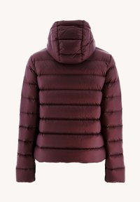 JOTT JANE - Chaqueta de plumas - rose