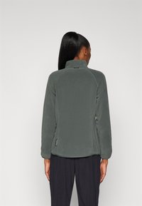 Jack Wolfskin MOONRISE   - Giacca in pile - slate green