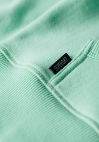 Superdry & Co ESSENTIAL LOGO  - Felpa con cappuccio - spearmint light green