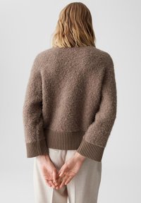 Brauner, flauschiger Pullover mit gerippten Bündchen und Saum, in lockerer Passform und mit weicher Textur, über hellen Hosen getragen, von hinten gesehen.