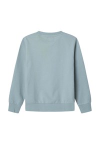 Felpa azzurra chiara con maniche lunghe, scollatura rotonda e polsini a coste. Texture liscia, design semplice, senza motivi o accessori visibili.