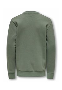 Felpa verde con colletto rotondo, polsini a costine e una texture liscia. Design semplice senza loghi o motivi visibili.