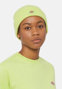 Dickies GIBSLAND BEANIE UNISEX - Kootud müts - pale green