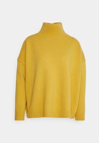 Musztardowy �żółty sweter z kołnierzem typu turtle neck, z długimi rękawami oraz prążkowanymi mankietami i dół, wyeksponowany na białym tle.