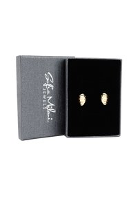 Orecchini color oro con un design a righe, esposti in una scatola regalo grigia foderata in velluto scuro, con testo marchiato in argento sul coperchio.