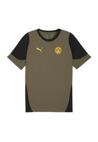 Seleccionado, loden green- black