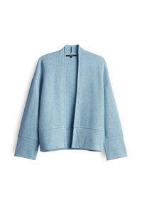 Unausgewählt, arctic blue