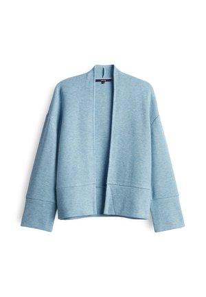 Cardigan azzurro chiaro, dal taglio morbido e ampio, con apertura frontale e maniche lunghe larghe. Presenta una lunghezza cropped e un design minimalista.
