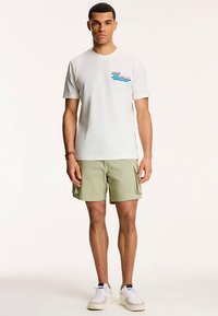 Helehall puuvillane t-särk, millel on sinise ja punase lainemuster, kombineeritud oliivirohelist värvi cargo lühikestega. Valged spordijalatsid lõpetavad komplekti.