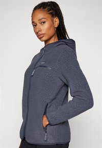 Patagonia RETRO HOODY - Giacca in pile - smolder blue