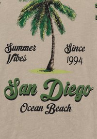 Palmera con el texto "Vibras de Verano Desde 1994 San Diego Ocean Beach" sobre un fondo de tela beige.