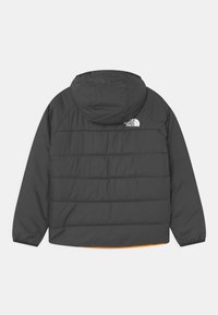 Hiilijauheesta valmistettu pehmustettu takki hupulla, jossa on hieman kiiltoa, vaakasuorat saumat ja oranssi vuori. Logo on esillä vasemmalla ylhäällä.