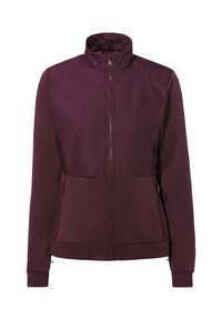 Giacca bordeaux con zip, colletto alto, tessuto morbido, due tasche laterali e polsini elasticizzati, con design a pannelli sulla parte superiore anteriore.