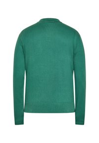 Groene gebreide trui met lange mouwen en een kraag. Heeft een gladde textuur en geribde manchetten en zoom. Minimalistisch ontwerp, zonder extra accenten.