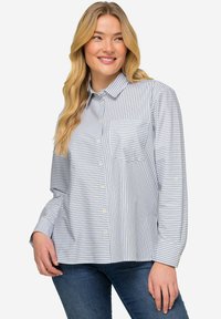 Camicia a maniche lunghe a righe blu e bianche, con colletto, taschino sul petto e realizzata in un tessuto leggero.