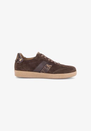 Gabor, GABOR SNEAKER LOW - Sneaker low - cacao