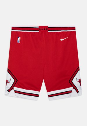 Nike Performance, NBA TEAM BOYS ICON SWINGMAN UNISEX - Ρούχα για κλαμπ - red