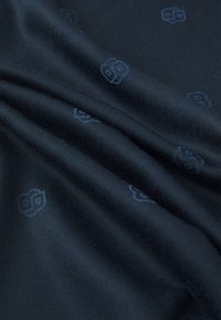 BOSS TRESTANY - Sjal / Tørklæder - dark blue
