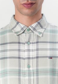 Tommy Jeans REGULAR CHECK SHIRT - Camisa - cloudy jade