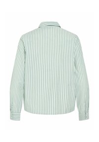 Chemise à manches longues vert clair avec des rayures verticales foncées, poignets à boutons et col classique, vue de dos.