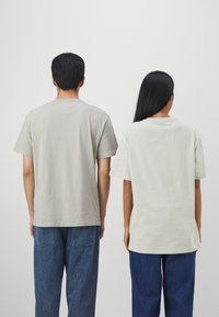 Tommy Jeans SIGNATURE - Camiseta básica - faded willow