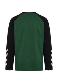 Maglietta a maniche lunghe con corpo verde e maniche raglan nere; presenta motivi a chevron bianchi sulla manica sinistra. Realizzata in tessuto a costine.