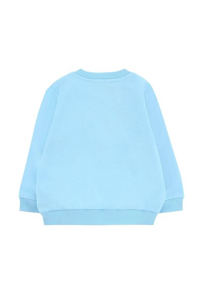 Felpa azzurro chiaro con collo rotondo, maniche lunghe e polsini a costine. Tessuto morbido con un design semplice, senza ulteriori motivi o dettagli.