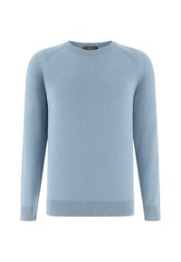 Non sélectionné, light blue