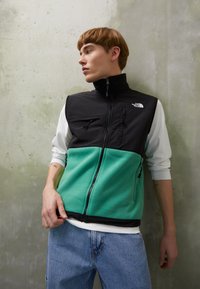 The North Face DENALI VEST - Brezrokavnik - deep grass green