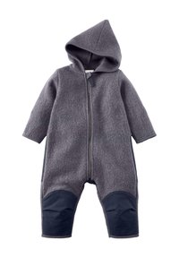 Unausgewählt, winterpflaume